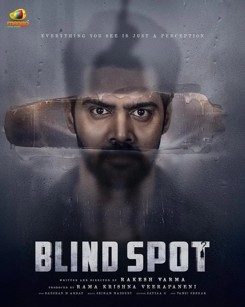 Blind Spot
